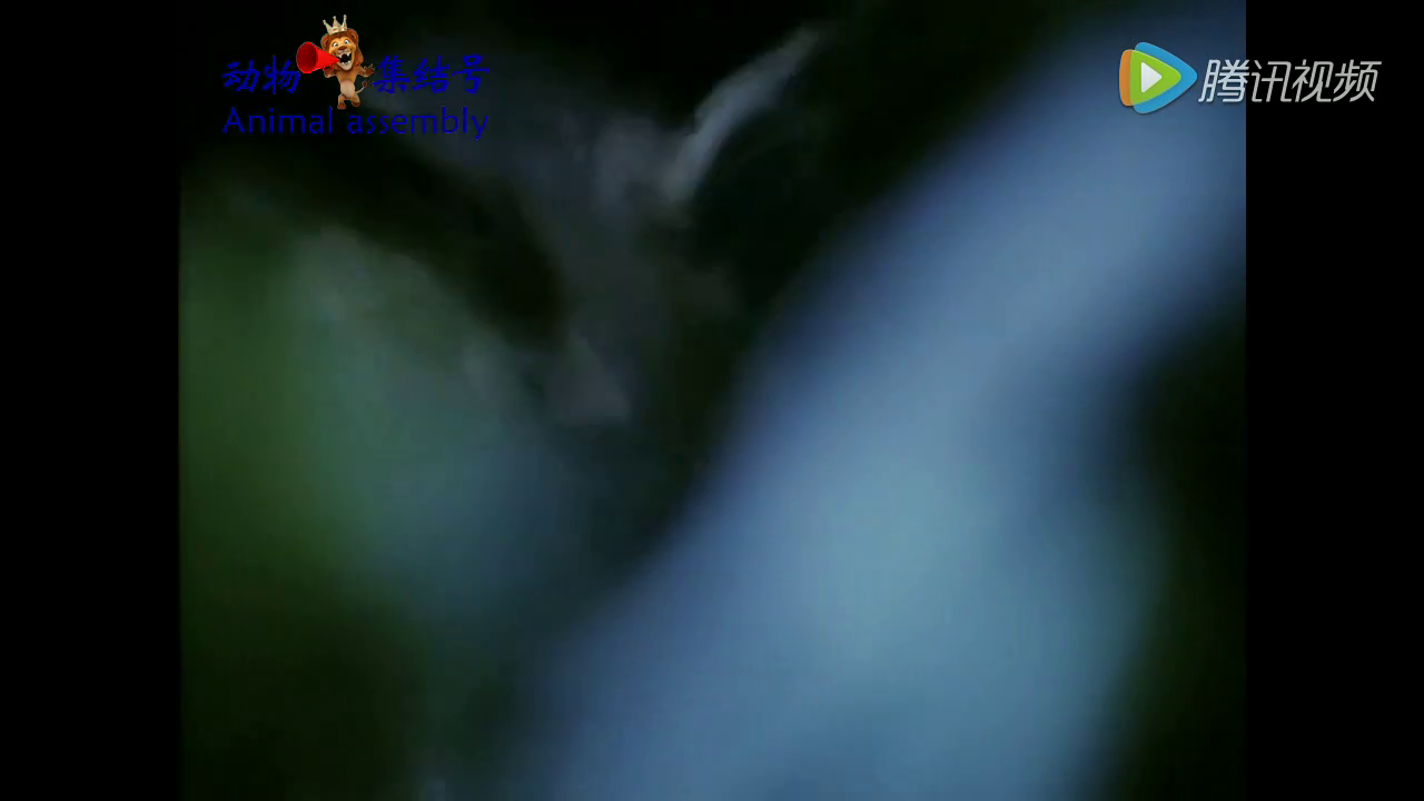 【华体会直播】
94分钟读秒绝杀!中甲升班马豪取4连胜 2-1领跑积分榜第一(图1) 华会足球直播